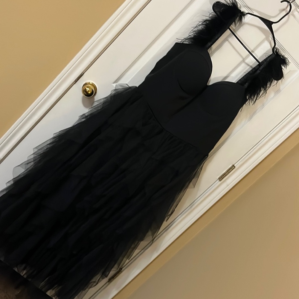 Black formal poofy dress with corset style top and feathers